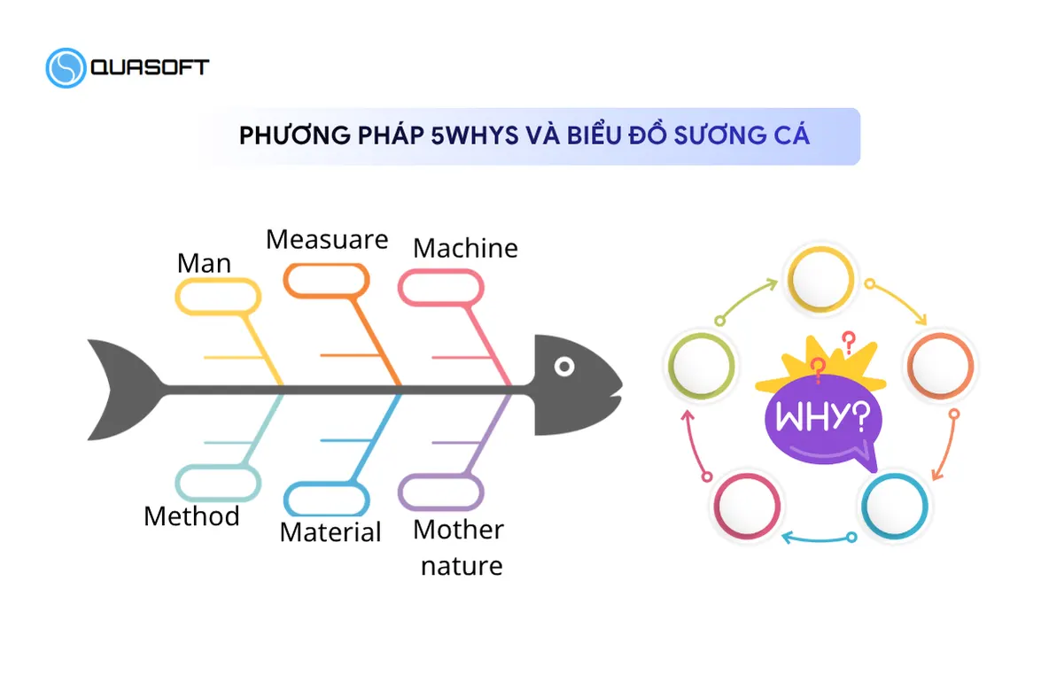 Phương pháp 5whys và biểu đồ sương cá