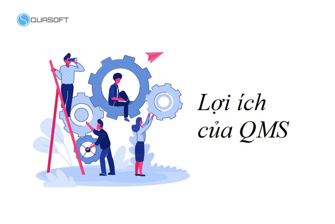 Lợi ích của QMS